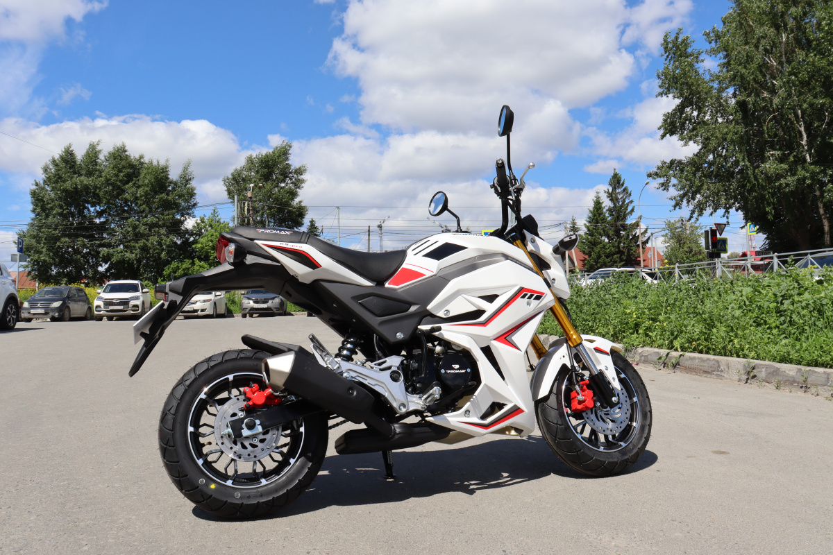 Мотоцикл PROMAX STRYKER 200(49) 2.0 в Оренбурге