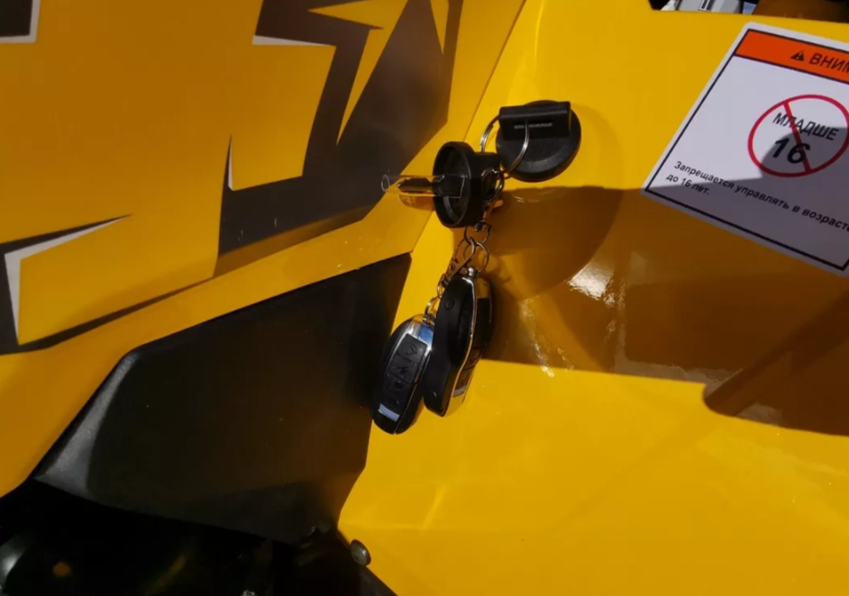 Квадроцикл MOTOLAND (МОТОЛЕНД) VOX200 WILD TRACK X PRO (баланс. вал) в Оренбурге