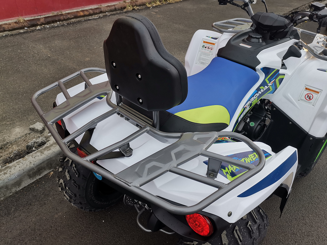 Квадроцикл PROMAX RENEGADE 280 LUX (2025) в Оренбурге