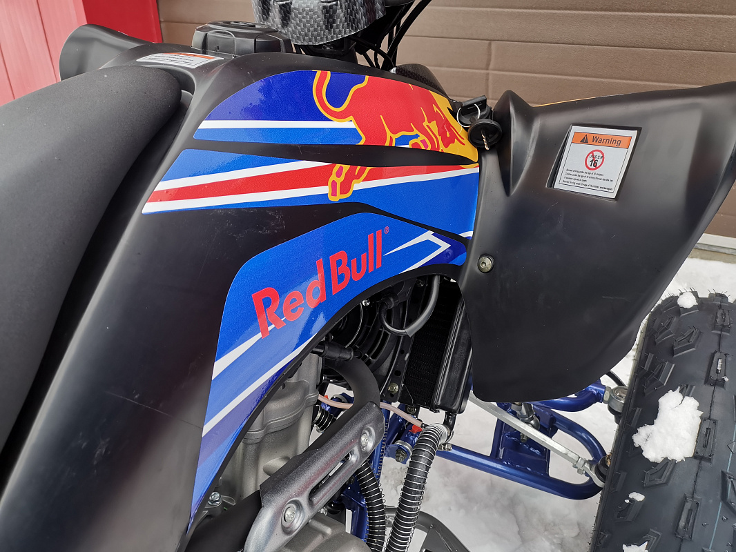 Квадроцикл PROMAX RAPTOR 300 NEW RedBull в Оренбурге