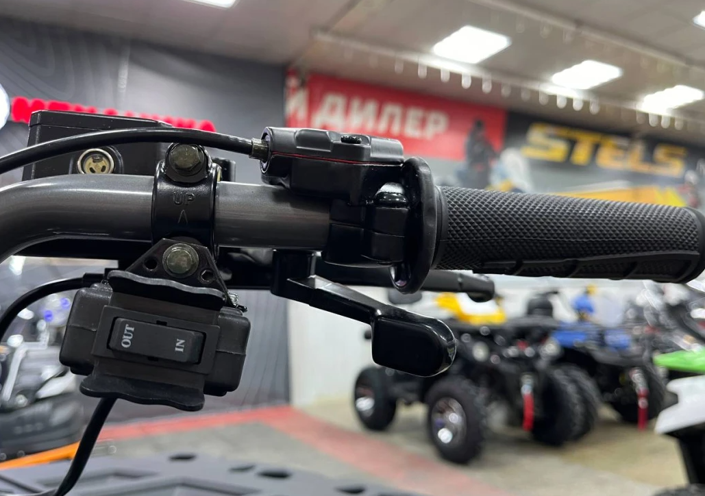 Квадроцикл PROMAX RENEGADE 300 LONG WINCH PRO (2025) в Оренбурге