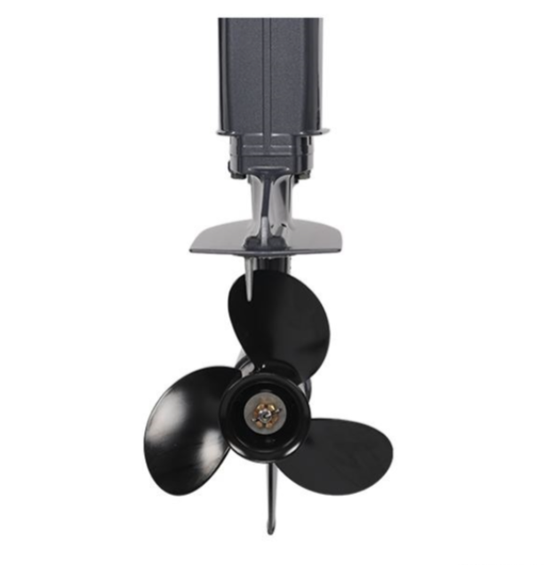 Лодочный мотор ALLFA CG Т40FW S в Оренбурге