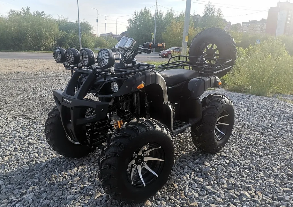 Квадроцикл PROMAX LEO 300 Max (кардан) в Оренбурге