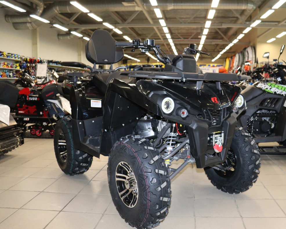 Квадроцикл PROMAX RENEGADE 300 LONG WINCH PRO (2025) в Оренбурге