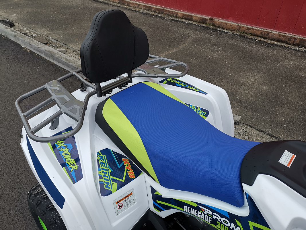 Квадроцикл PROMAX RENEGADE 280 LUX (2025) в Оренбурге
