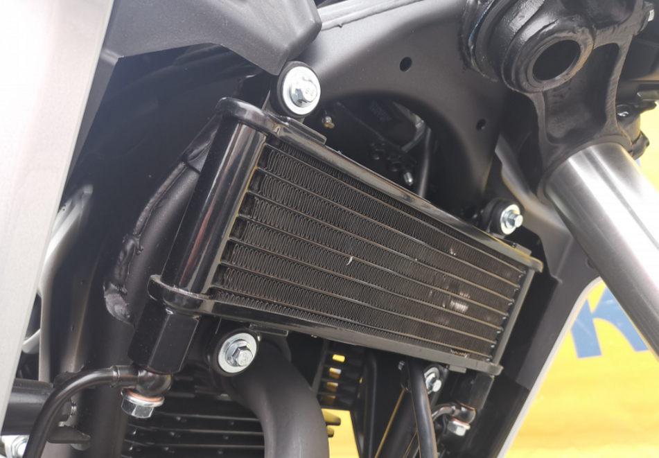 Мотоцикл MOTOLAND (МОТОЛЕНД) 250 CB250 (172FMM-5/PR250) (2022 г.) в Оренбурге