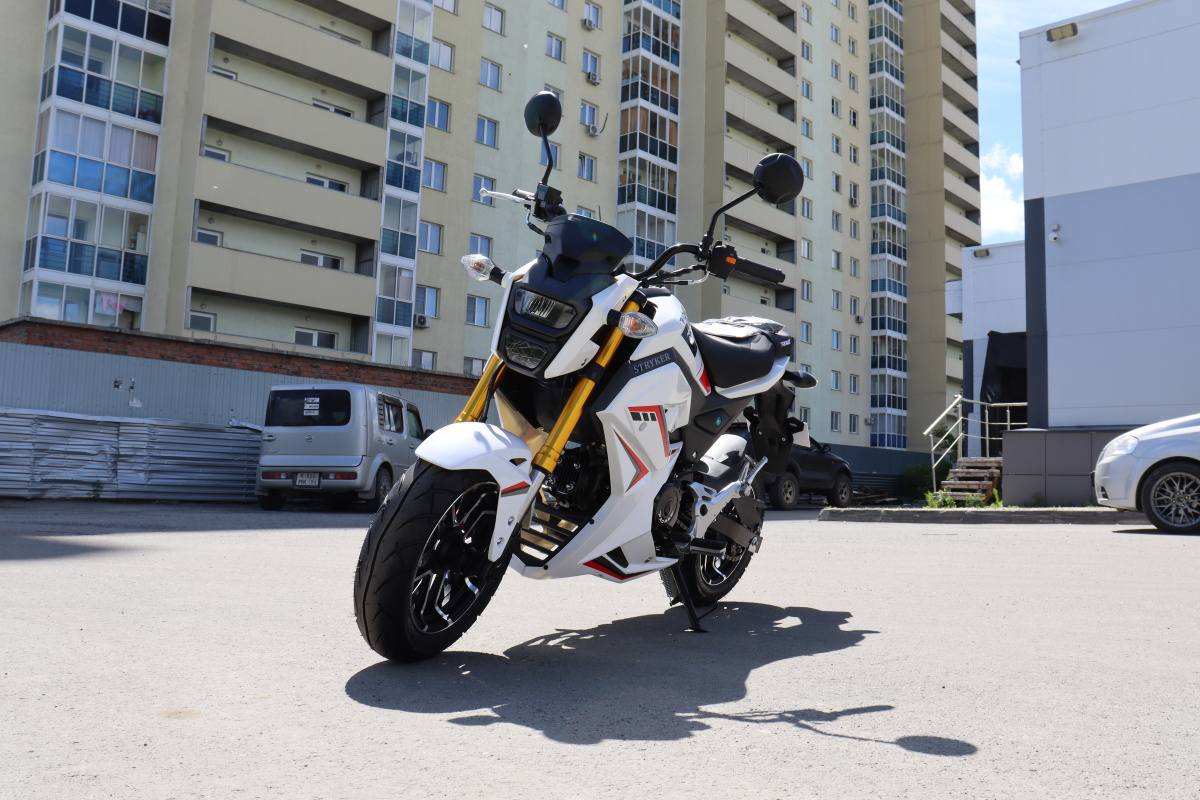 Мотоцикл PROMAX STRYKER 200(49) 2.0 в Оренбурге