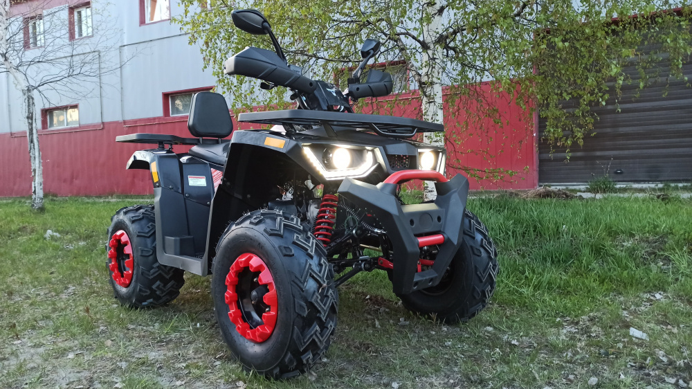Квадроцикл PROMAX WILD 300 LUX (2024) в Оренбурге