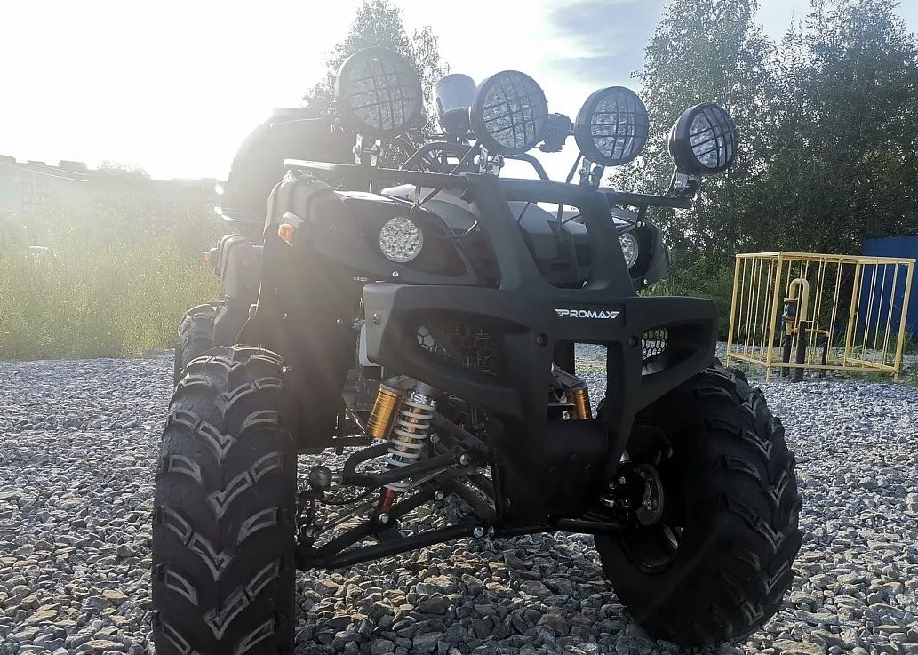 Квадроцикл PROMAX LEO 300 Max (кардан) в Оренбурге