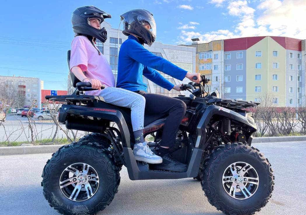 Квадроцикл PROMAX RENEGADE 300 LONG WINCH PRO (2025) в Оренбурге