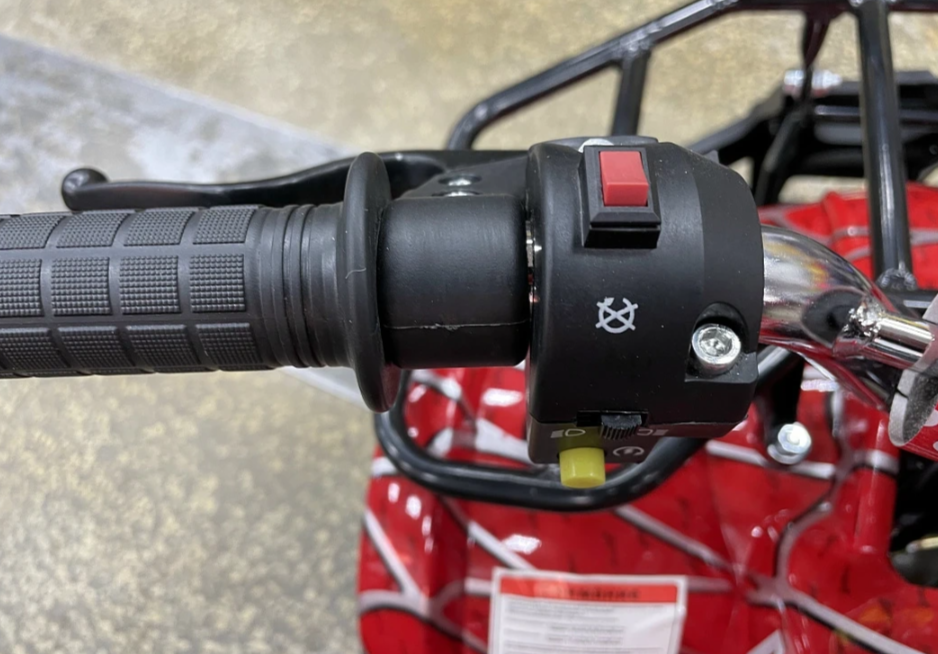 Квадроцикл PROMAX ATV MINI 2T 70CC р/с в Оренбурге