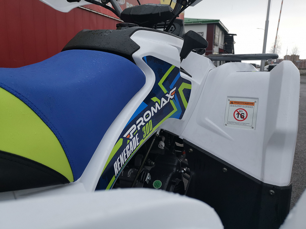 Квадроцикл PROMAX RENEGADE 280 LUX (2025) в Оренбурге