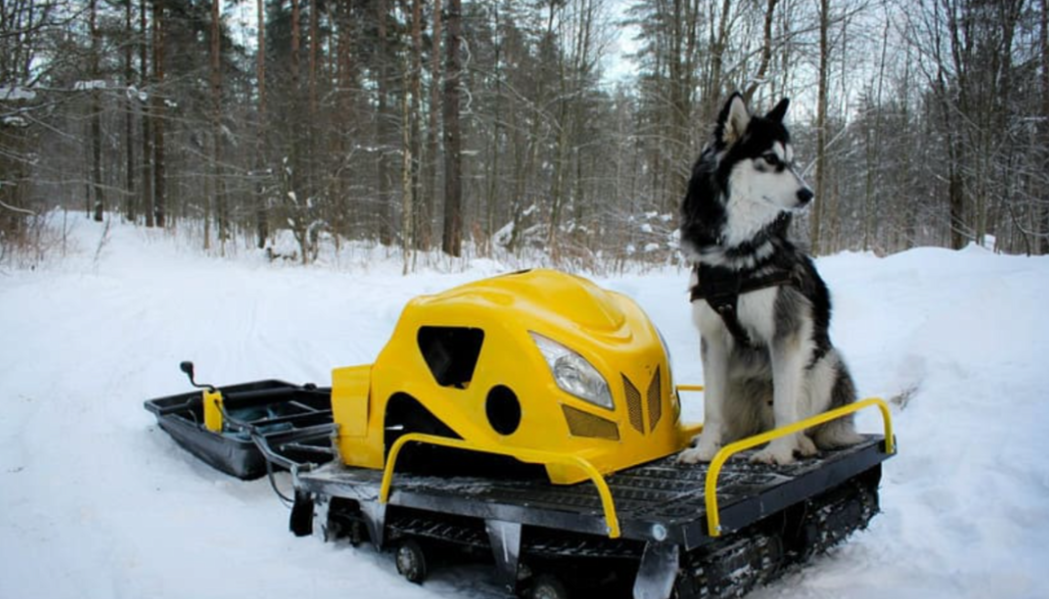Мотобуксировщик LEBEDEV MOTORS ВОЛКОДАВ POWER V13 в Оренбурге