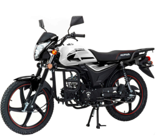 Мопед MOTOLAND (МОТОЛЕНД) Альфа RS 11 (LM48-B) в Оренбурге
