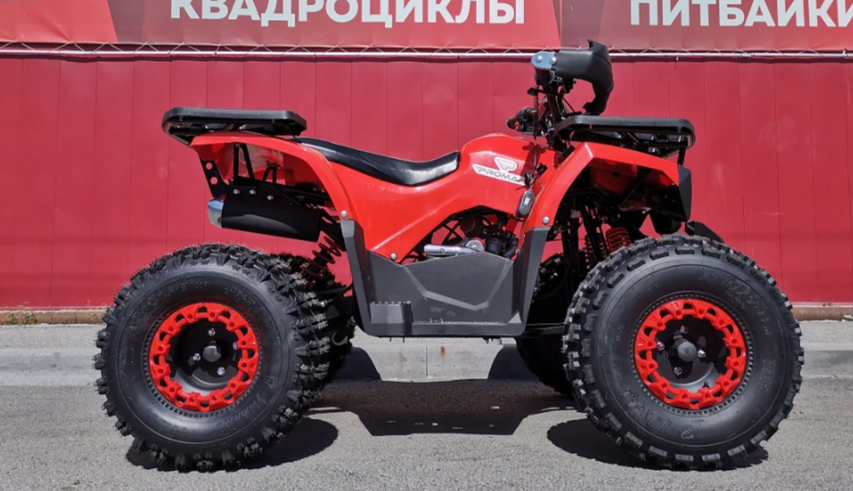 Квадроцикл PROMAX WILD 175 BASIC в Оренбурге