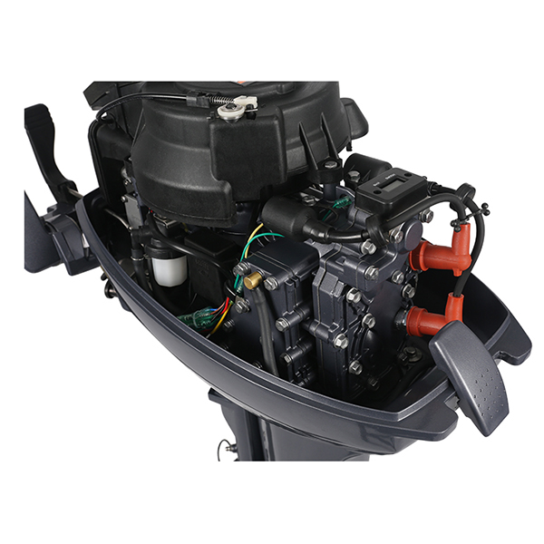 ЛОДОЧНЫЙ МОТОР ALLFA CG Т9,9 Limit в Оренбурге