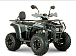 Квадроцикл YACOTA DRAGON LUX LD 150 PRO-SPORT в Оренбурге