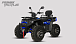 Квадроцикл PROMAX TAURUS 300 MAX-PRO LONG в Оренбурге