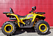 Квадроцикл PROMAX STORM 280 LUX в Оренбурге