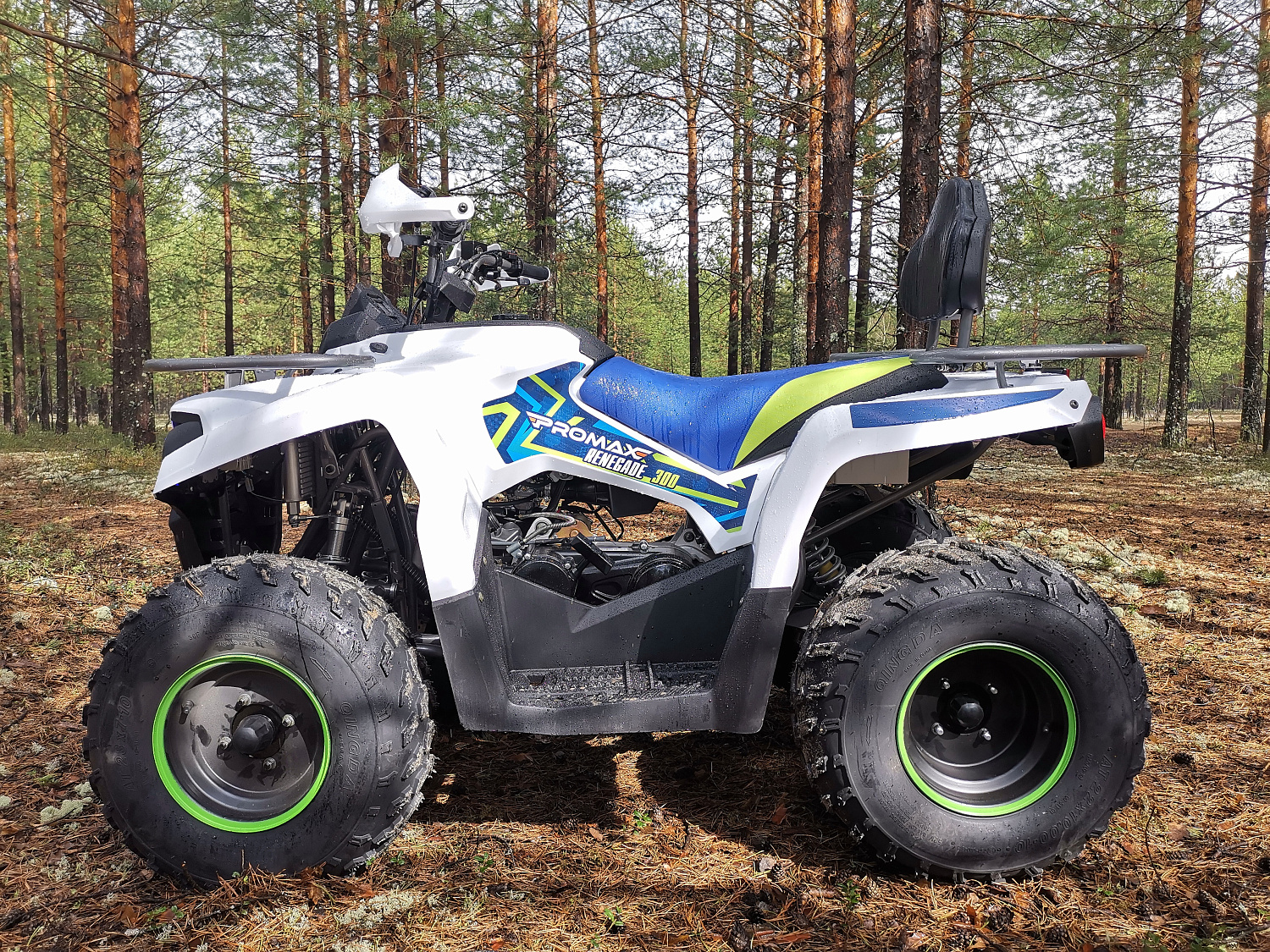 Квадроцикл PROMAX RENEGADE 280 (2025) в Оренбурге