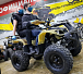 Квадроцикл PROMAX ATV 250 (2025) в Оренбурге