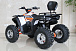 Квадроцикл GBM STORMRIDER 320 PREMIUM в Оренбурге