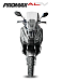 МаксиСкутер PROMAX-HONDA ADV 150 (49) EFI (Inspired by HONDA) в Оренбурге