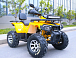 Квадроцикл MOTOLAND (МОТОЛЕНД) VOX200 WILD TRACK X PRO (баланс. вал) в Оренбурге