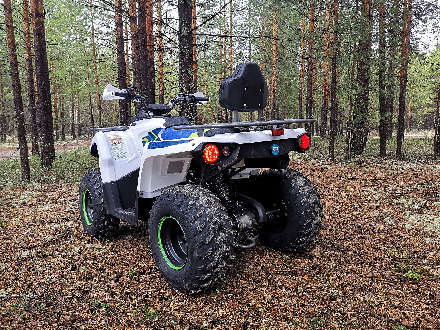 Квадроцикл PROMAX RENEGADE 280 (2025) в Оренбурге