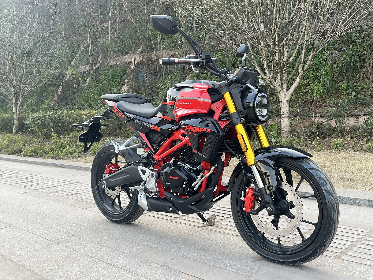 Мотоцикл PROMAX CB300 в Оренбурге