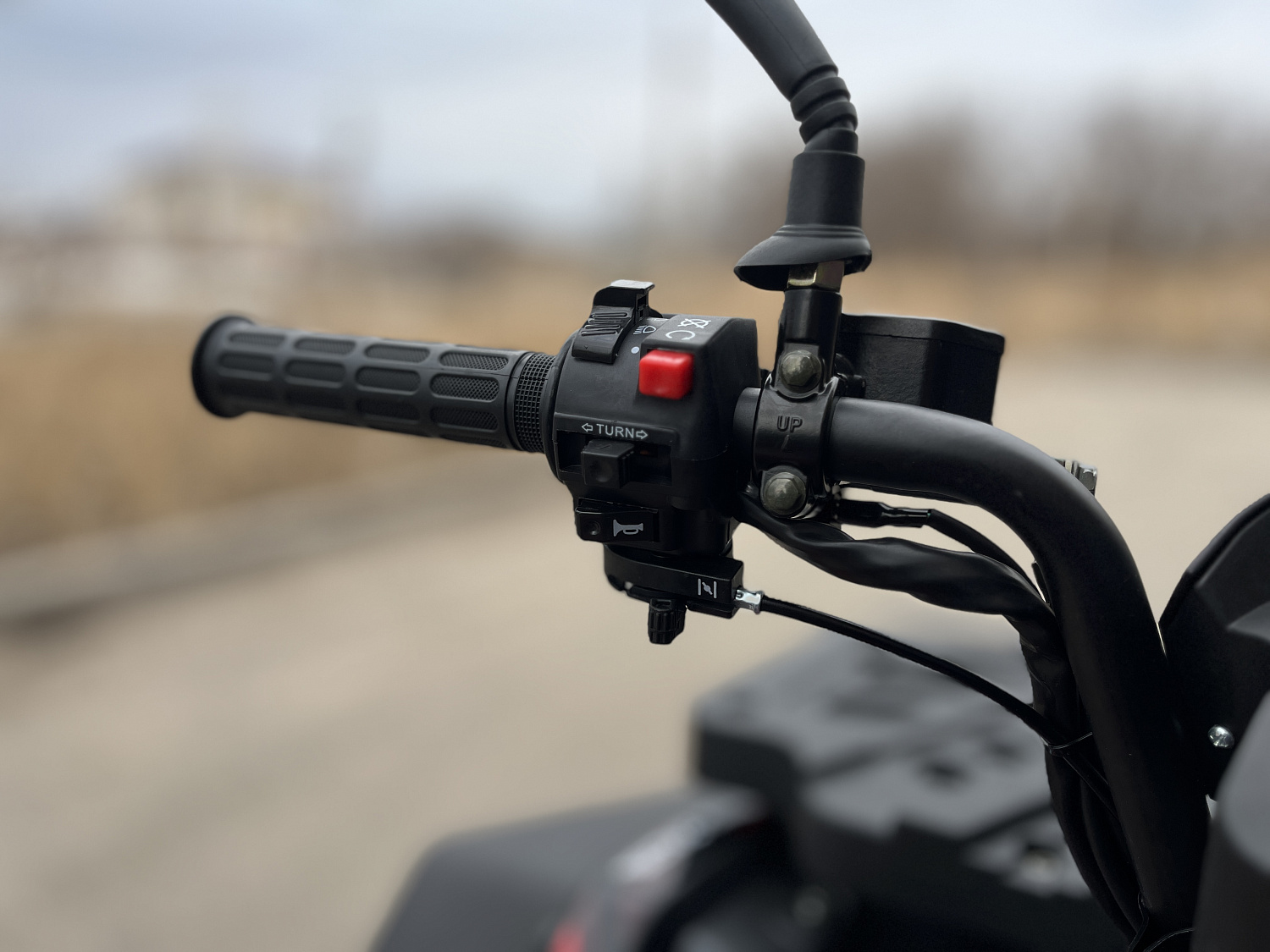 Квадроцикл PROMAX TAURUS 300 MAX-PRO LONG в Оренбурге