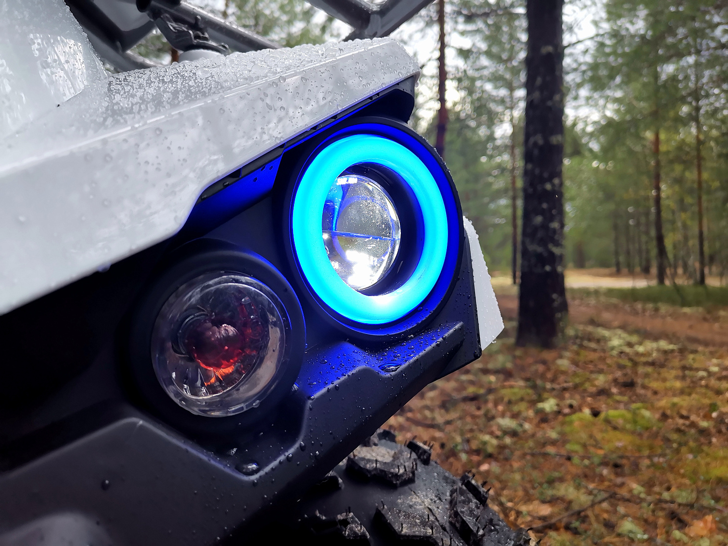 Квадроцикл PROMAX RENEGADE 280 (2025) в Оренбурге