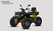 Квадроцикл PROMAX TAURUS 300 MAX-PRO LONG в Оренбурге